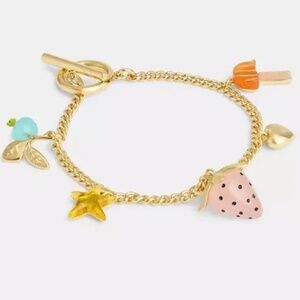Coach X Observed By Us Strawberry Heart Charm Bracelet
